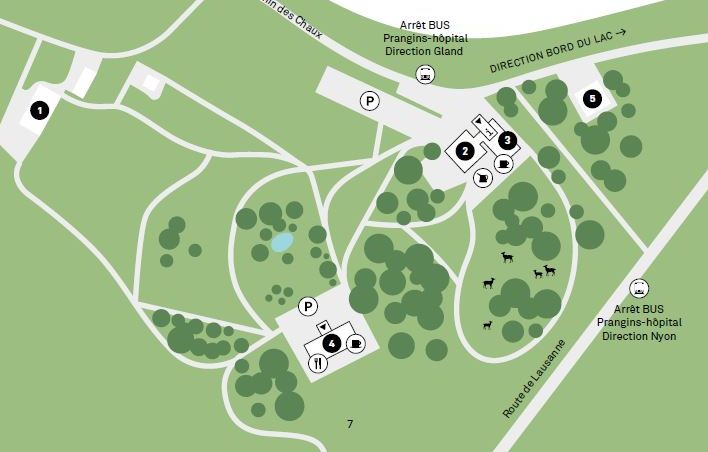 Plan détaillé du site de Prangins