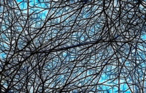 Centres et unités de recherche