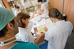 Les premiers soins Les premiers soins