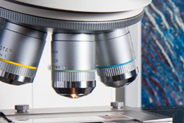 Recherche en chirurgie vasculaire Recherche en chirurgie vasculaire