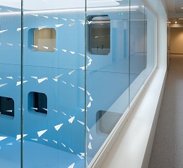 Pation du CCO Pation du CCO